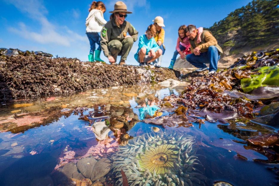 ranger talking to family at Fitzgerald Marine Reserve tidepools