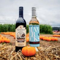 2025 Pumpkin Festival Label Red Wine Blend and Sauvignon Blanc