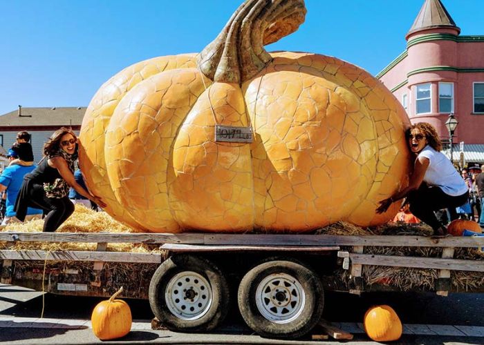 World's Biggest Pumpkin Sculpture